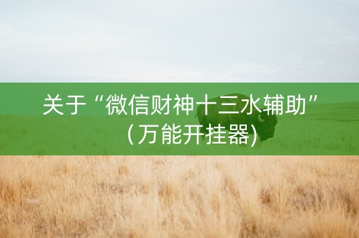 关于“微信财神十三水辅助”（万能开挂器)