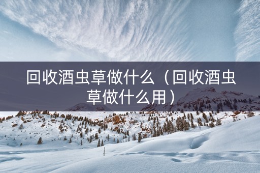 详细阅读:回收酒虫草做什么(回收酒虫草做什么用) 回收酒虫草做什么(回收酒虫草做什么用)