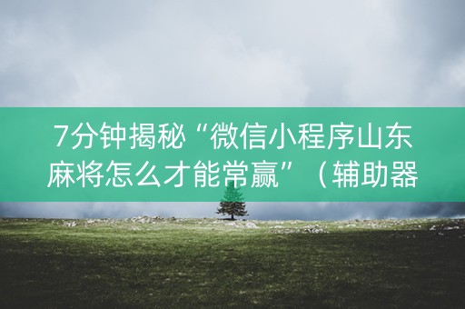 7分钟揭秘“微信小程序山东麻将怎么才能常赢”（辅助器插件)