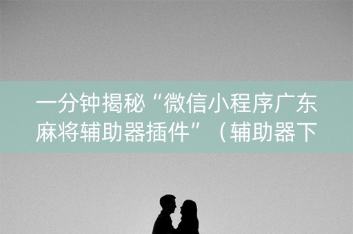 一分钟揭秘“微信小程序广东麻将辅助器插件”（辅助器下载)