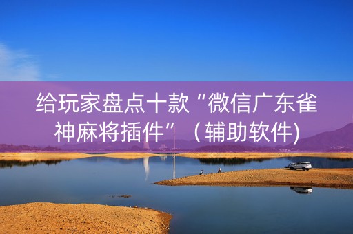 给玩家盘点十款“微信广东雀神麻将插件”（辅助软件)