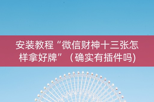 安装教程“微信财神十三张怎样拿好牌”（确实有插件吗)