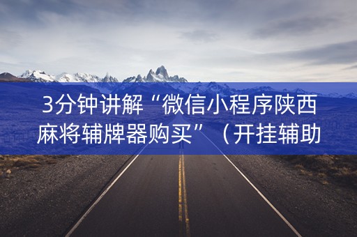 3分钟讲解“微信小程序陕西麻将辅牌器购买”（开挂辅助脚本)