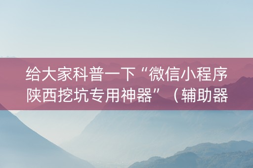给大家科普一下“微信小程序陕西挖坑专用神器”（辅助器插件)