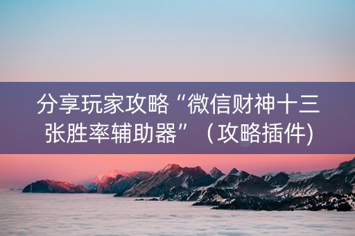 分享玩家攻略“微信财神十三张胜率辅助器”（攻略插件)