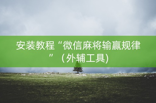 安装教程“微信麻将输赢规律”（外辅工具)