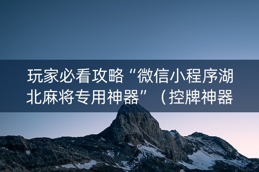 玩家必看攻略“微信小程序湖北麻将专用神器”（控牌神器)
