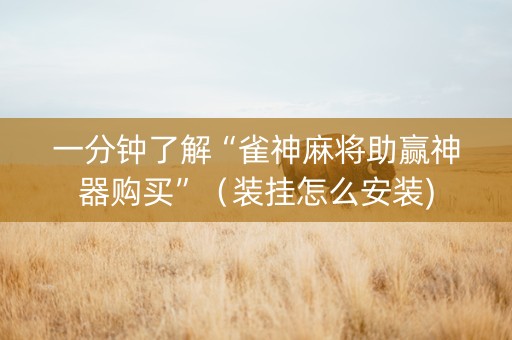 一分钟了解“雀神麻将助赢神器购买”（装挂怎么安装)