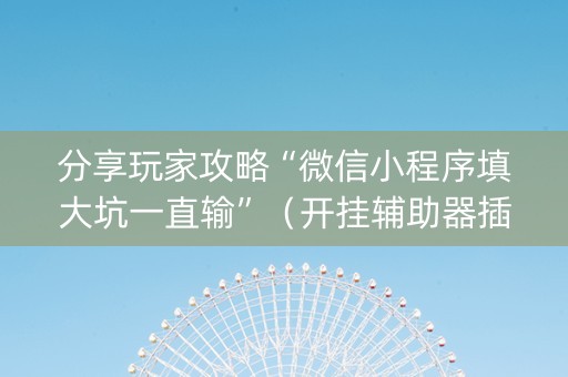 分享玩家攻略“微信小程序填大坑一直输”（开挂辅助器插件)