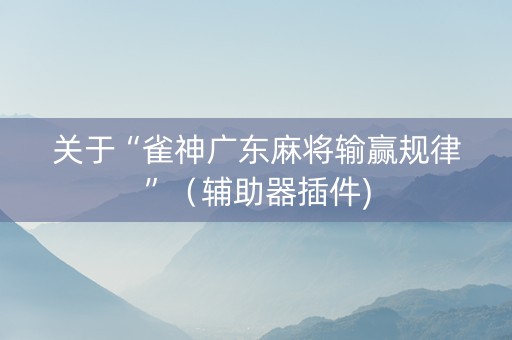 关于“雀神广东麻将输赢规律”（辅助器插件)