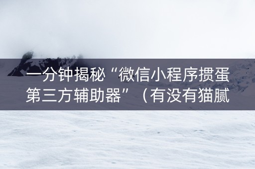 一分钟揭秘“微信小程序掼蛋第三方辅助器”（有没有猫腻)