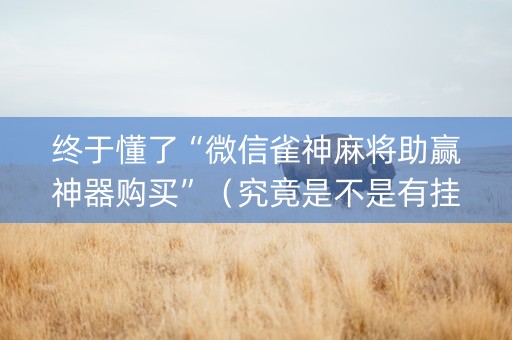 终于懂了“微信雀神麻将助赢神器购买”（究竟是不是有挂)