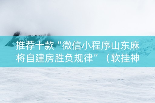 推荐十款“微信小程序山东麻将自建房胜负规律”（软挂神器)