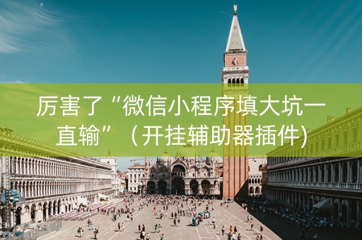 厉害了“微信小程序填大坑一直输”（开挂辅助器插件)