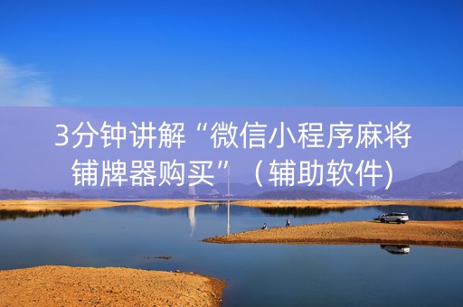3分钟讲解“微信小程序麻将铺牌器购买”（辅助软件)