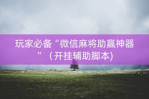玩家必备“微信麻将助赢神器”（开挂辅助脚本)