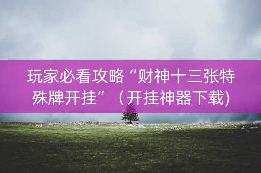 玩家必看攻略“财神十三张特殊牌开挂”（开挂神器下载)