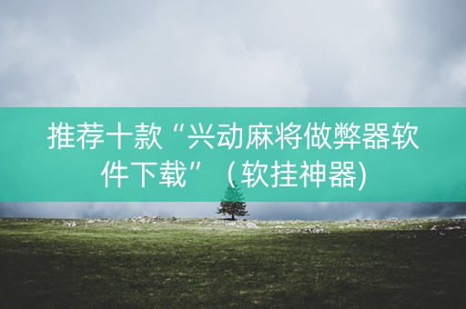 推荐十款“兴动麻将做弊器软件下载”（软挂神器)