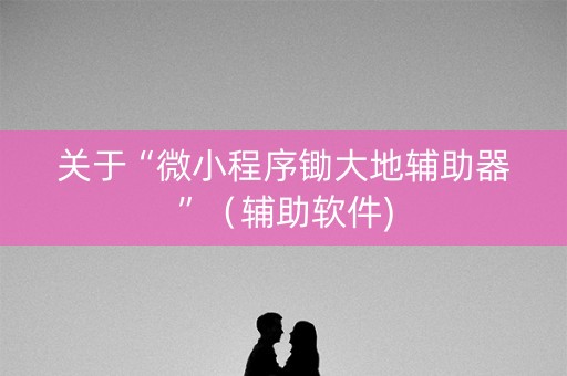 关于“微小程序锄大地辅助器”（辅助软件)