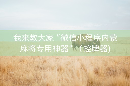 我来教大家“微信小程序内蒙麻将专用神器”（控牌器)