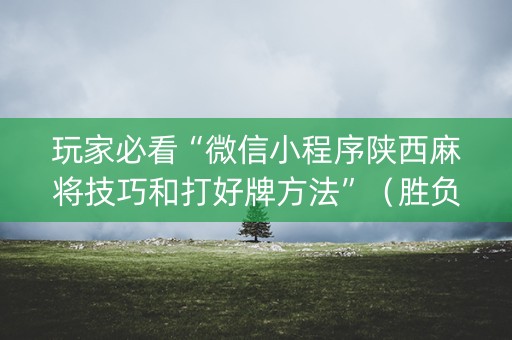 玩家必看“微信小程序陕西麻将技巧和打好牌方法”（胜负规律拿好牌)