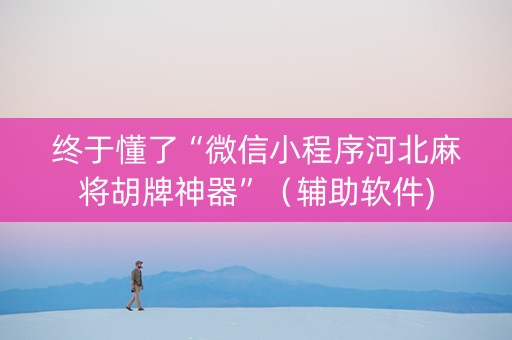终于懂了“微信小程序河北麻将胡牌神器”（辅助软件)
