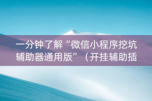一分钟了解“微信小程序挖坑辅助器通用版”（开挂辅助插件)