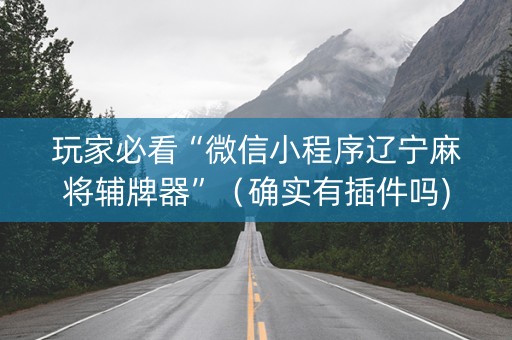玩家必看“微信小程序辽宁麻将辅牌器”（确实有插件吗)