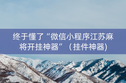 终于懂了“微信小程序江苏麻将开挂神器”（挂件神器)