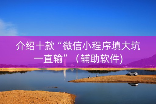 介绍十款“微信小程序填大坑一直输”（辅助软件)
