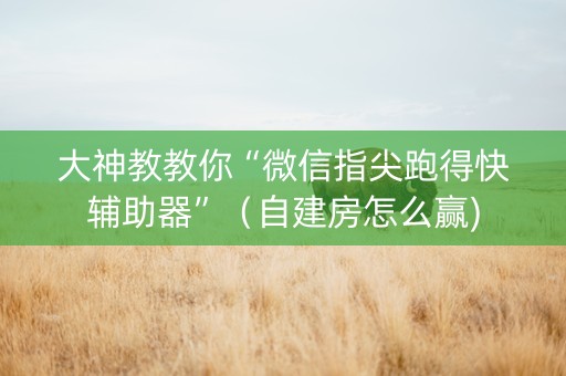 大神教教你“微信指尖跑得快辅助器”（自建房怎么赢)