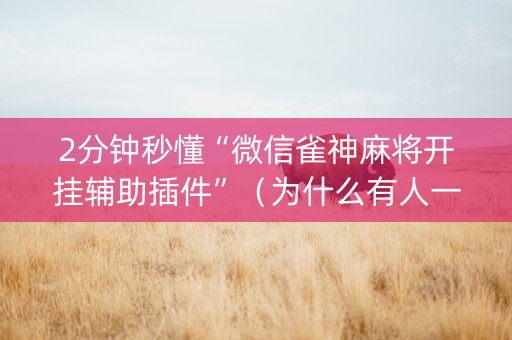 2分钟秒懂“微信雀神麻将开挂辅助插件”（为什么有人一直赢)