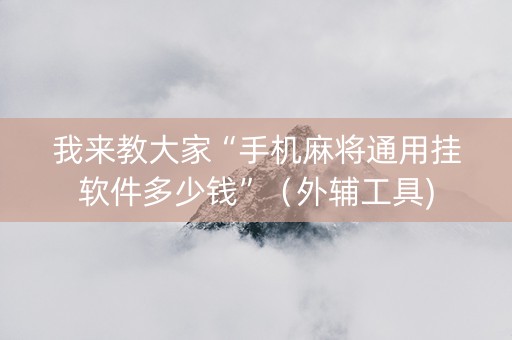 我来教大家“手机麻将通用挂软件多少钱”（外辅工具)