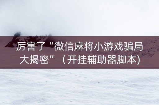 厉害了“微信麻将小游戏骗局大揭密”（开挂辅助器脚本)