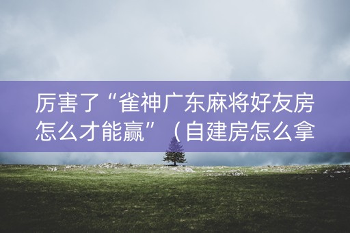 厉害了“雀神广东麻将好友房怎么才能赢”（自建房怎么拿好牌)