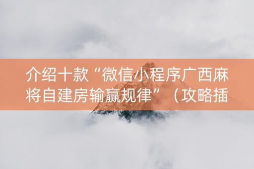 介绍十款“微信小程序广西麻将自建房输赢规律”（攻略插件)