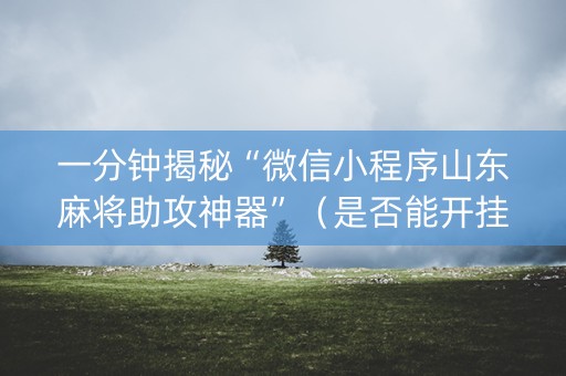 一分钟揭秘“微信小程序山东麻将助攻神器”（是否能开挂)