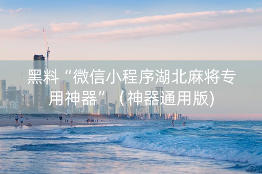 黑料“微信小程序湖北麻将专用神器”（神器通用版)