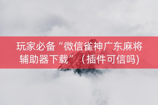 玩家必备“微信雀神广东麻将辅助器下载”（插件可信吗)