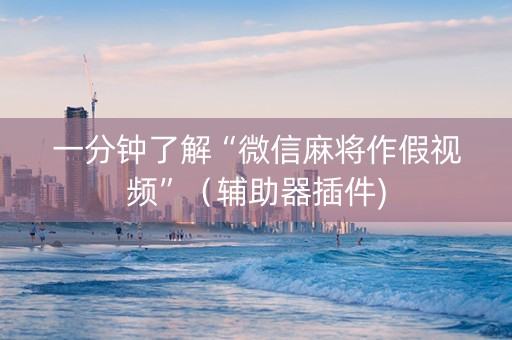 一分钟了解“微信麻将作假视频”（辅助器插件)