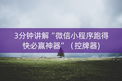 3分钟讲解“微信小程序跑得快必赢神器”（控牌器)