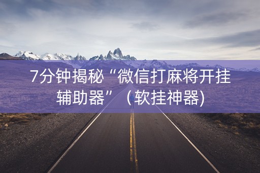 7分钟揭秘“微信打麻将开挂辅助器”（软挂神器)