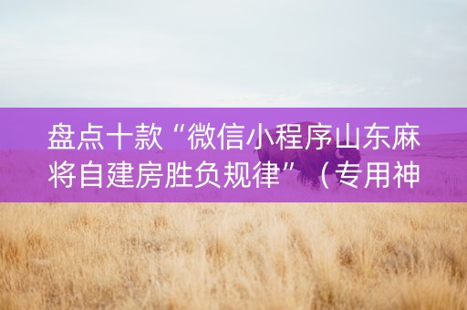 盘点十款“微信小程序山东麻将自建房胜负规律”（专用神器下载)