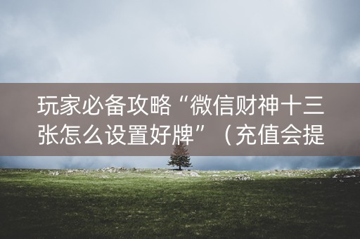 玩家必备攻略“微信财神十三张怎么设置好牌”（充值会提高胜率么)