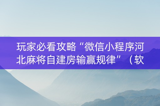 玩家必看攻略“微信小程序河北麻将自建房输赢规律”（软挂神器)