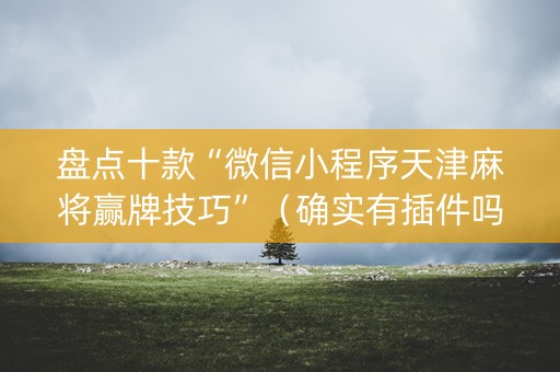 盘点十款“微信小程序天津麻将赢牌技巧”（确实有插件吗)