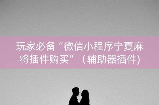 玩家必备“微信小程序宁夏麻将插件购买”（辅助器插件)