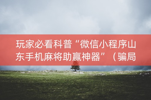 玩家必看科普“微信小程序山东手机麻将助赢神器”（骗局大揭秘)