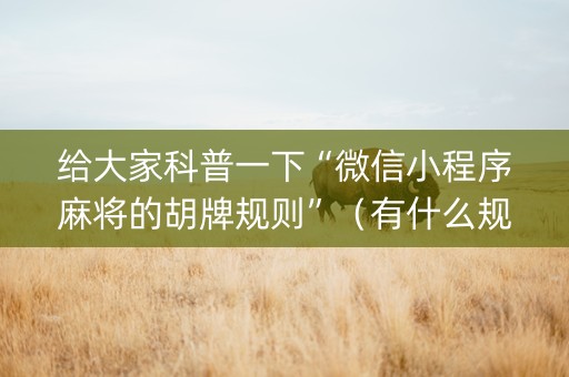 给大家科普一下“微信小程序麻将的胡牌规则”（有什么规律)