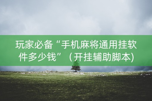 玩家必备“手机麻将通用挂软件多少钱”（开挂辅助脚本)